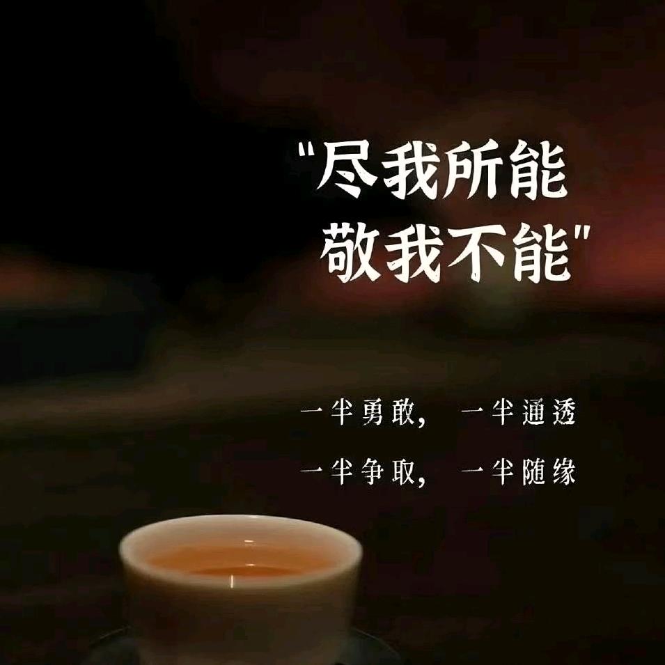 ❤️随风走