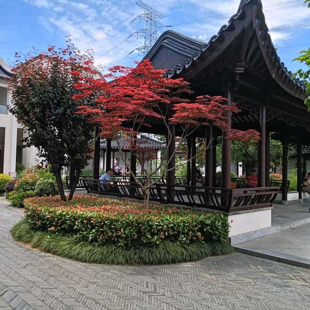 冷暖自知