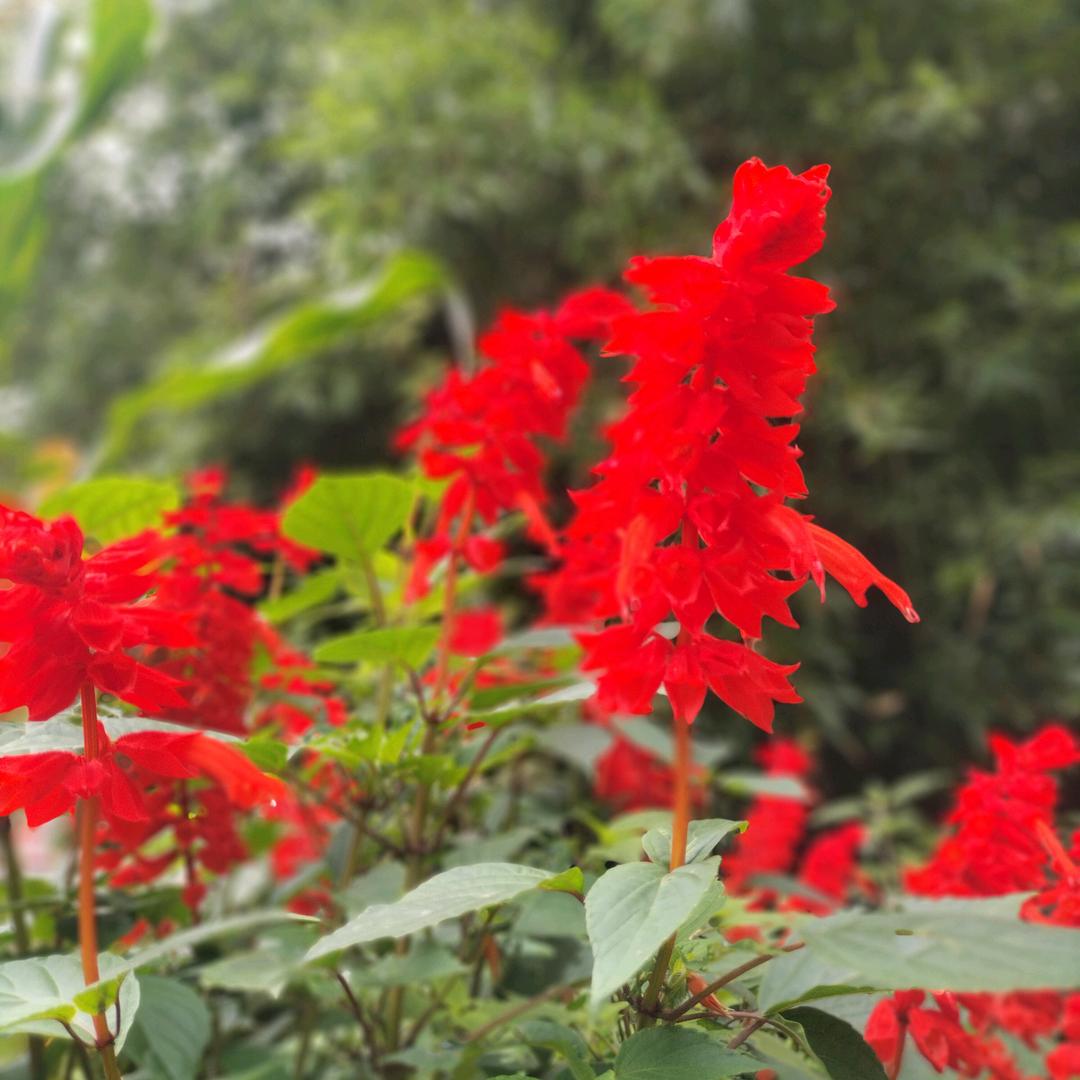 一生相伴一切随缘