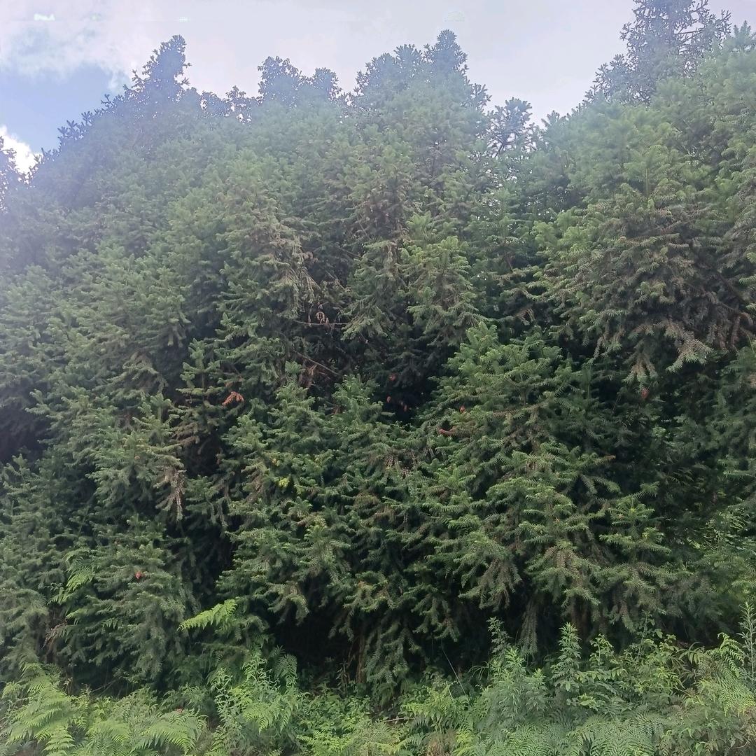 心好累