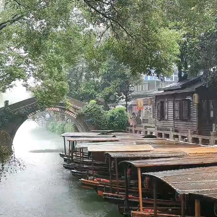 晚琴