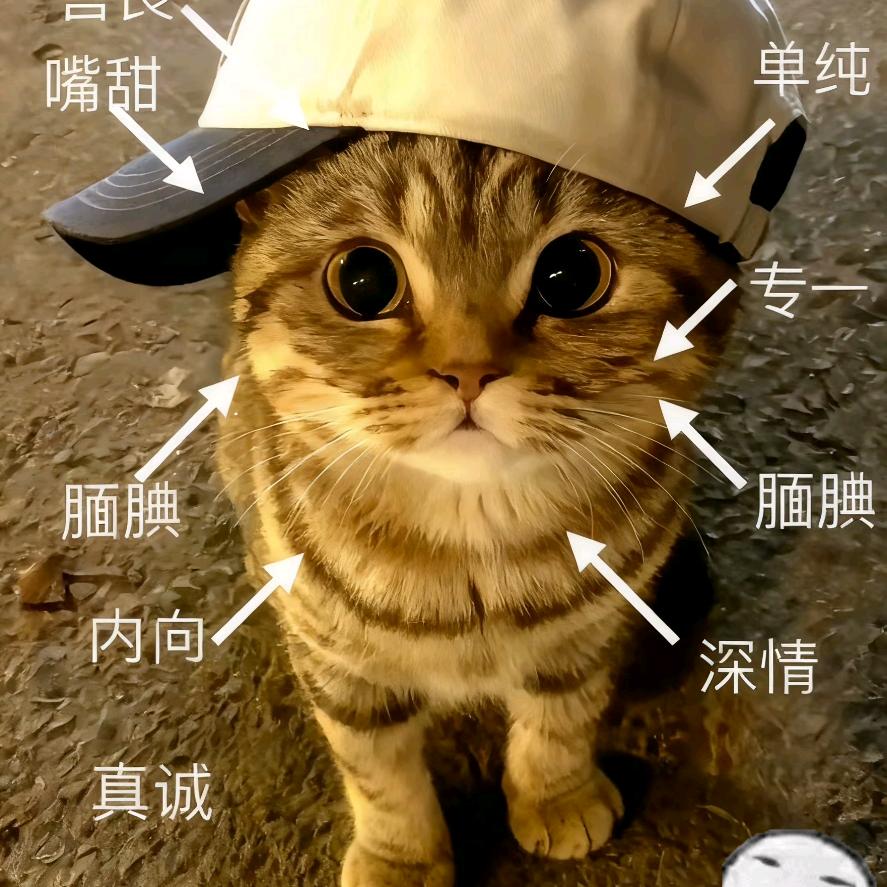 海海海