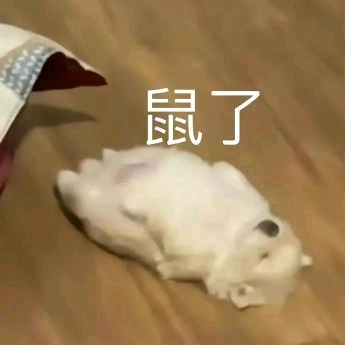 老6头像