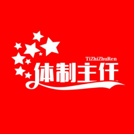 体制内-陈主任