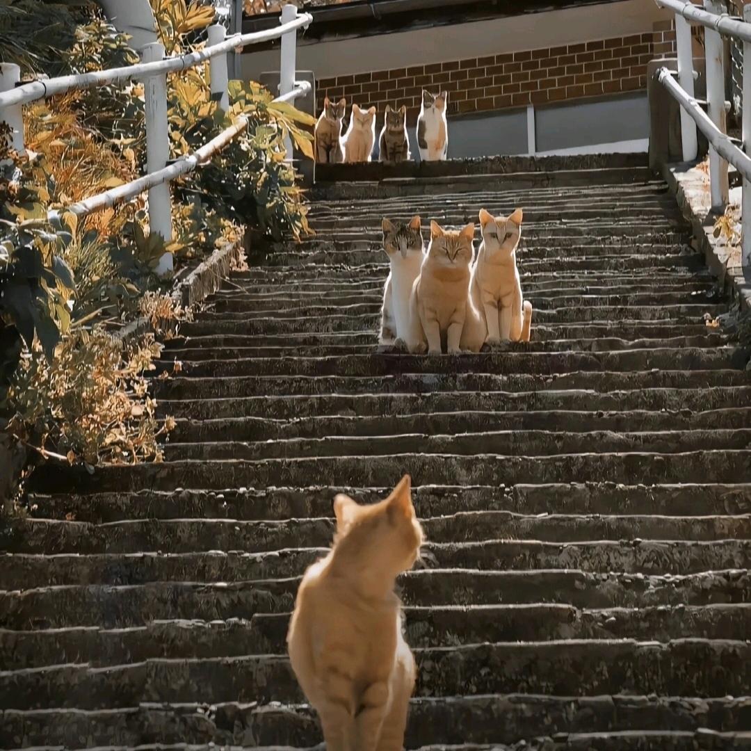 我太聪明了