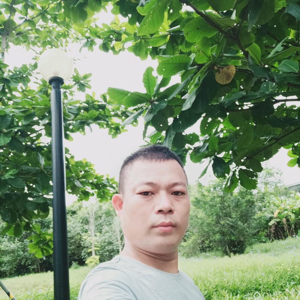 阳光照耀