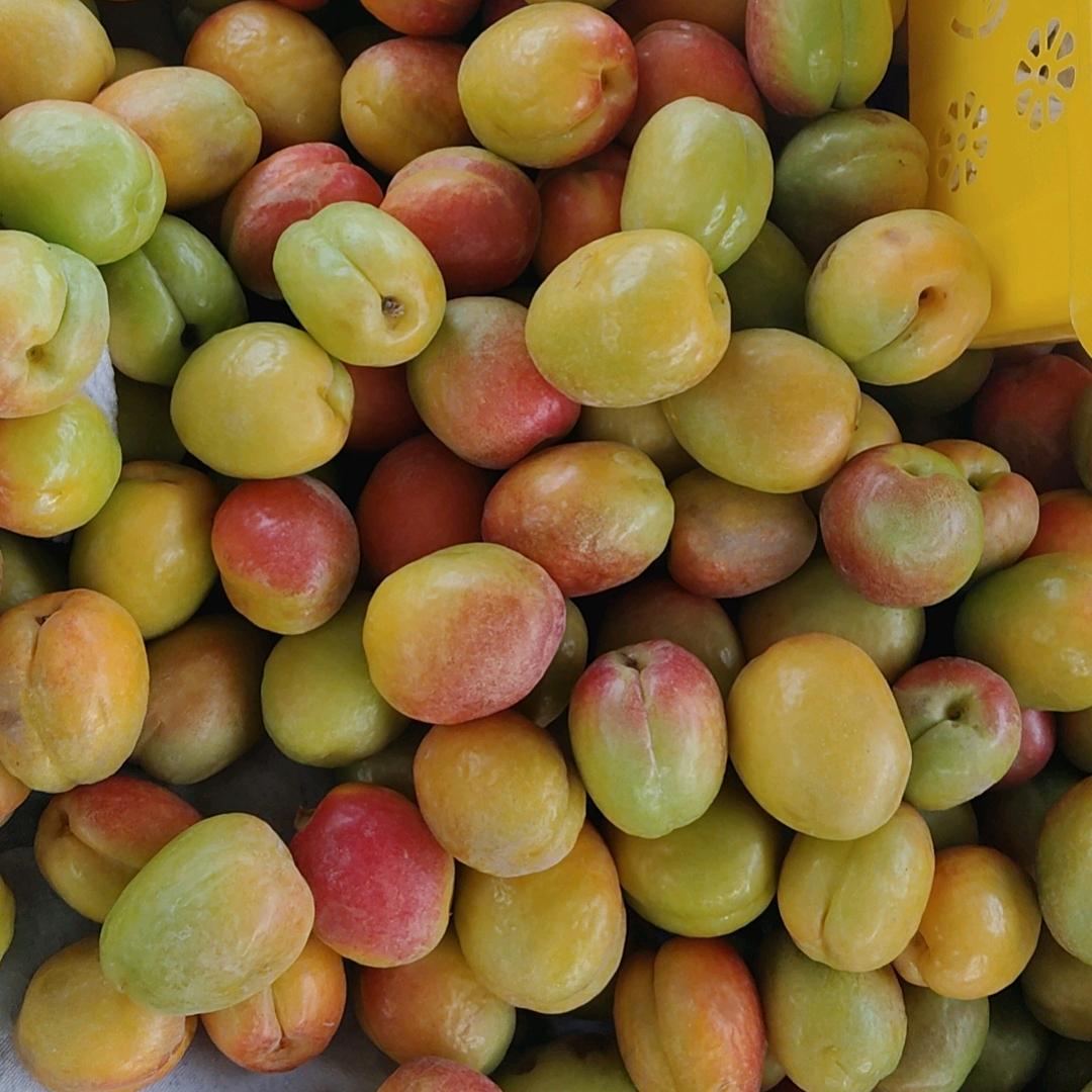 阿克苏佳果多优品严选