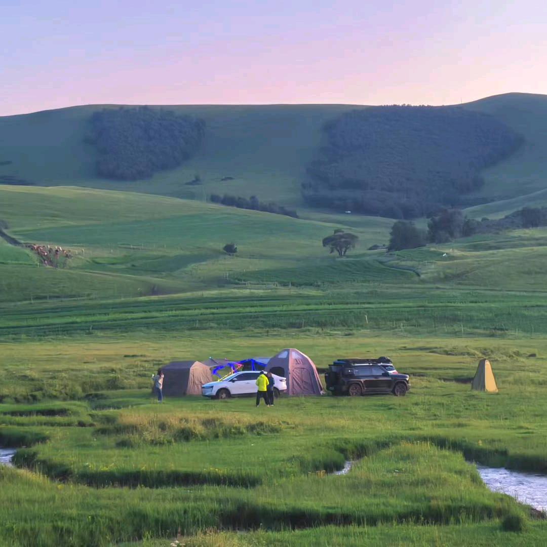 爱露营的·挺酸正