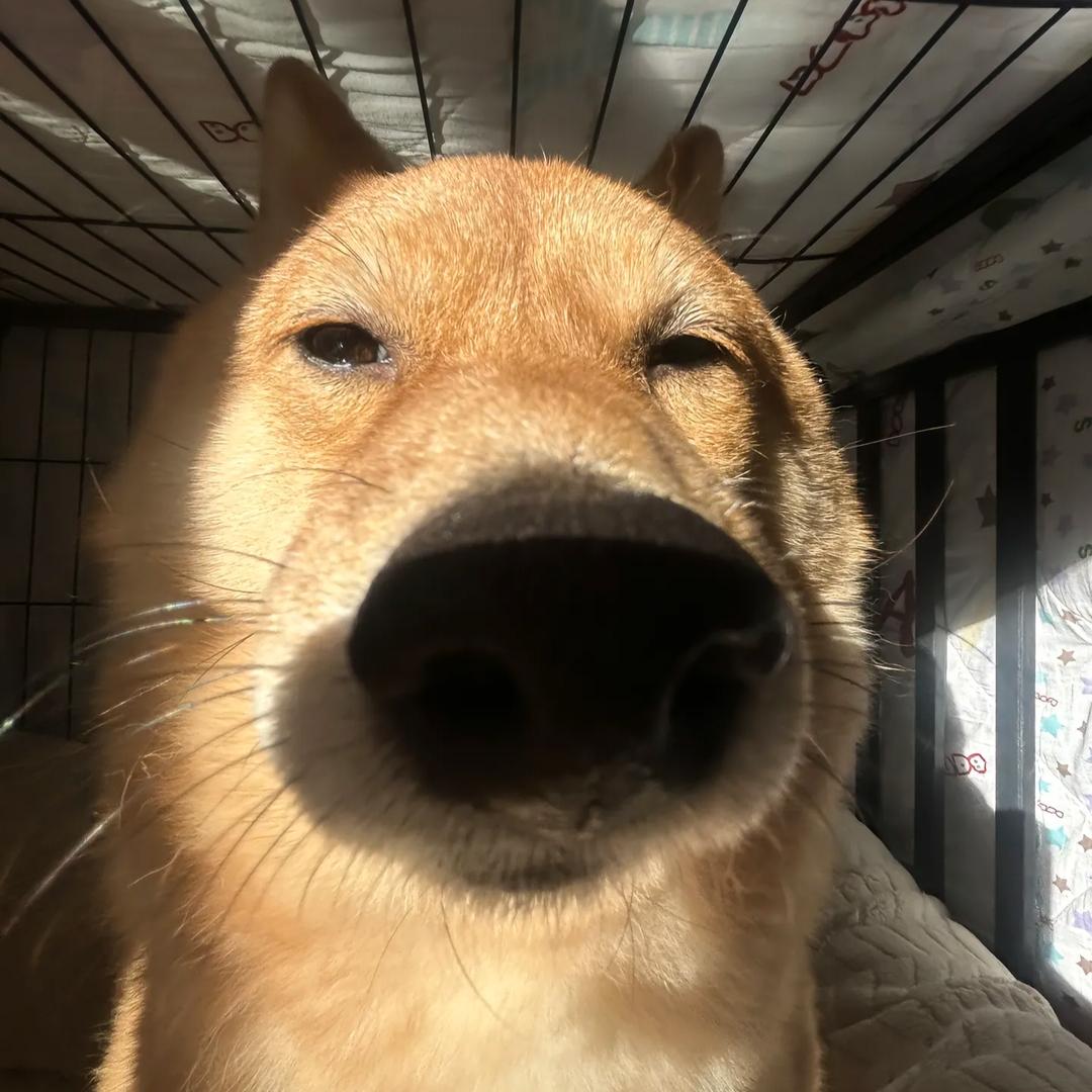 。，