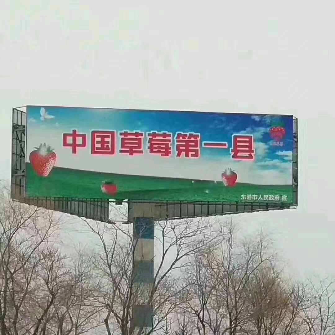 正宗丹东九九草莓