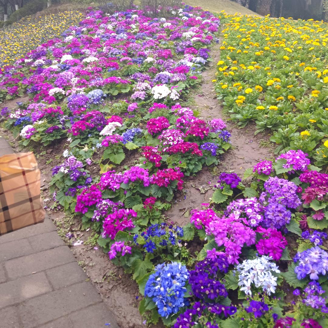 缘空资源