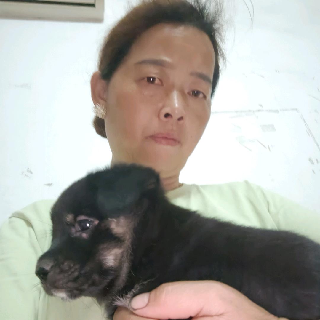 金枝玉叶