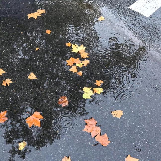 蓝飞丹（绿春）生活用品馆（个人独资）蓝飞丹直播2号