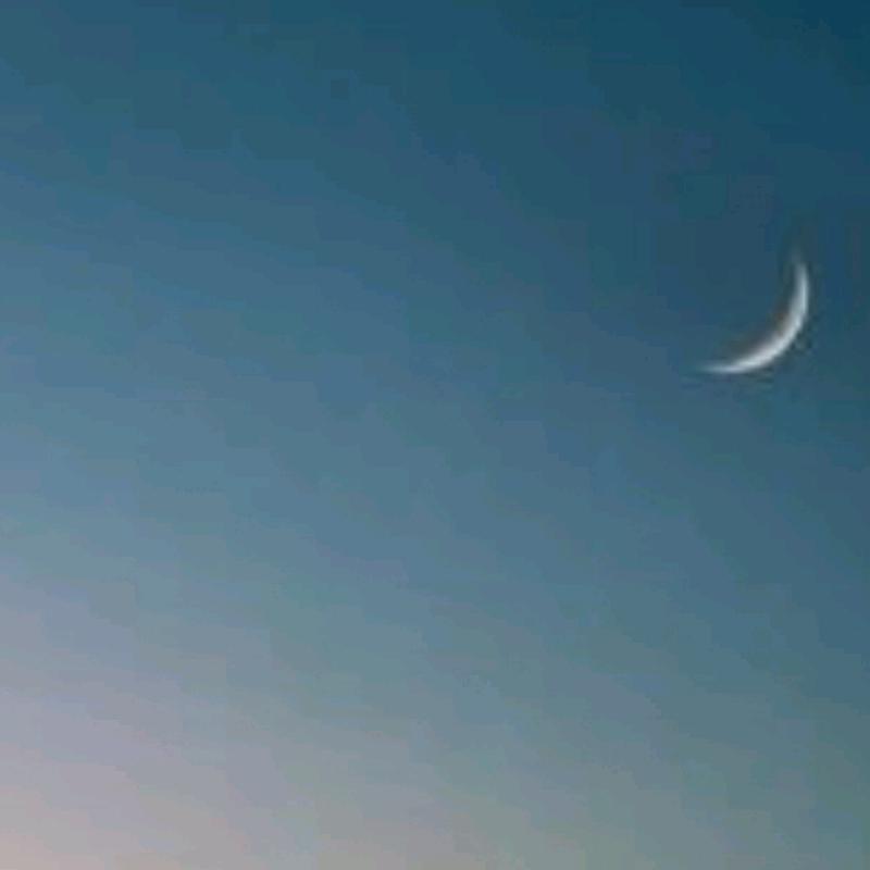 东哥讲出国（防诈）