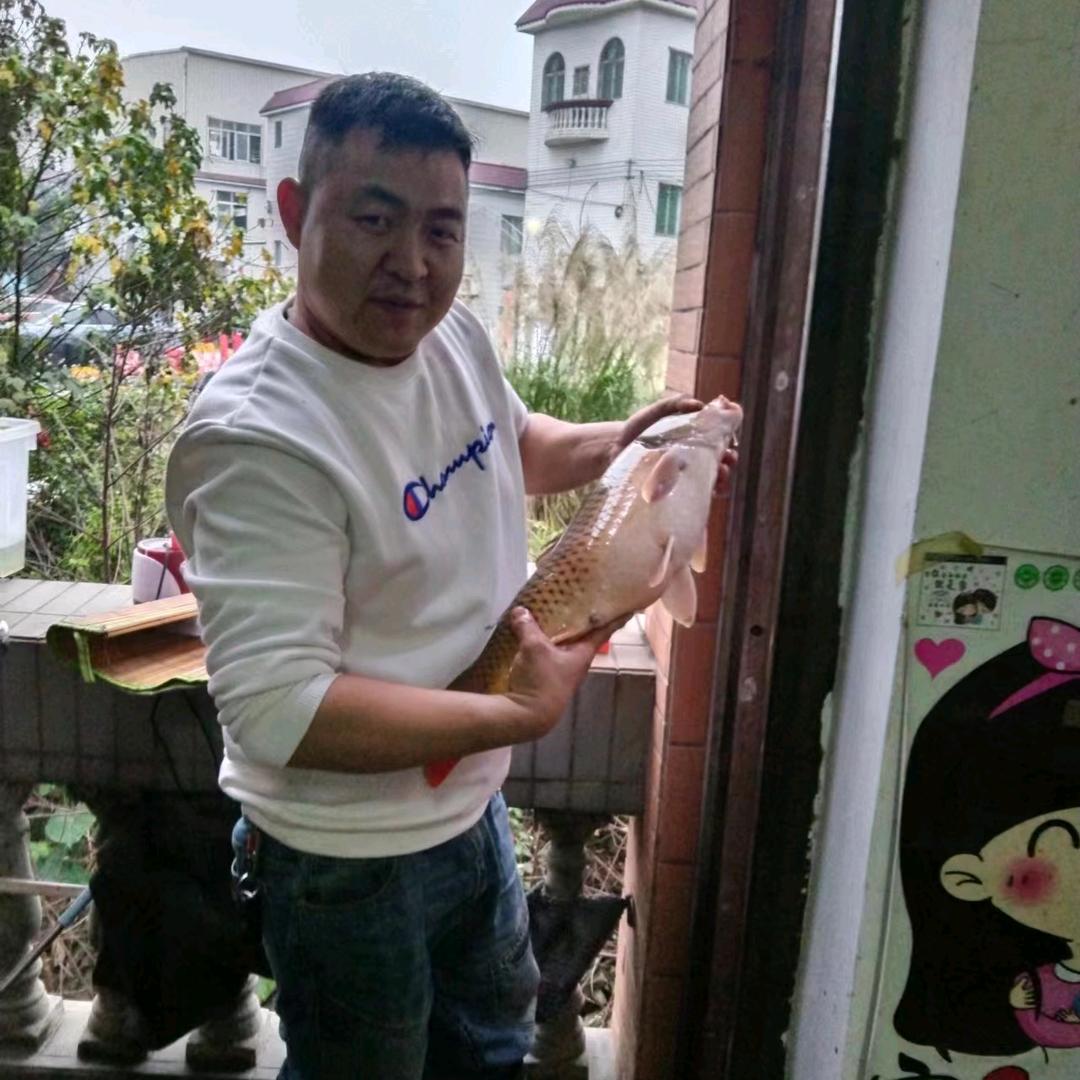 🐠野钓《魏》龙哥🐠