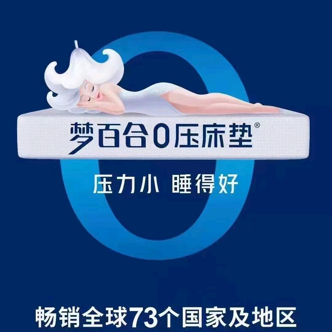 富县梦百合智能馆