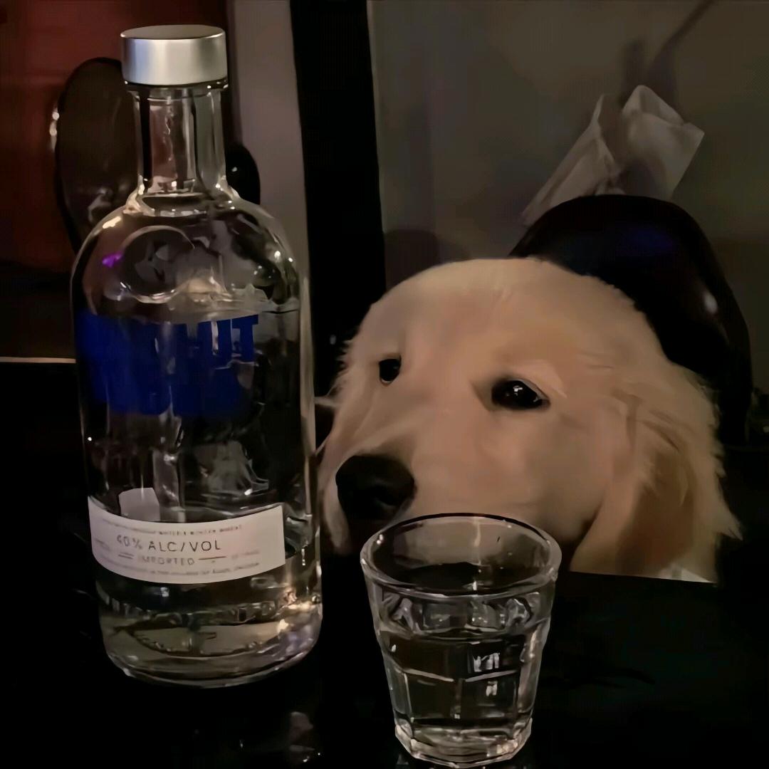 ［踏雾］“挽风”