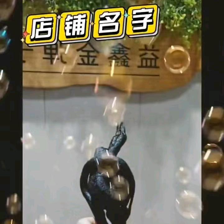 益鑫金弹子盆景