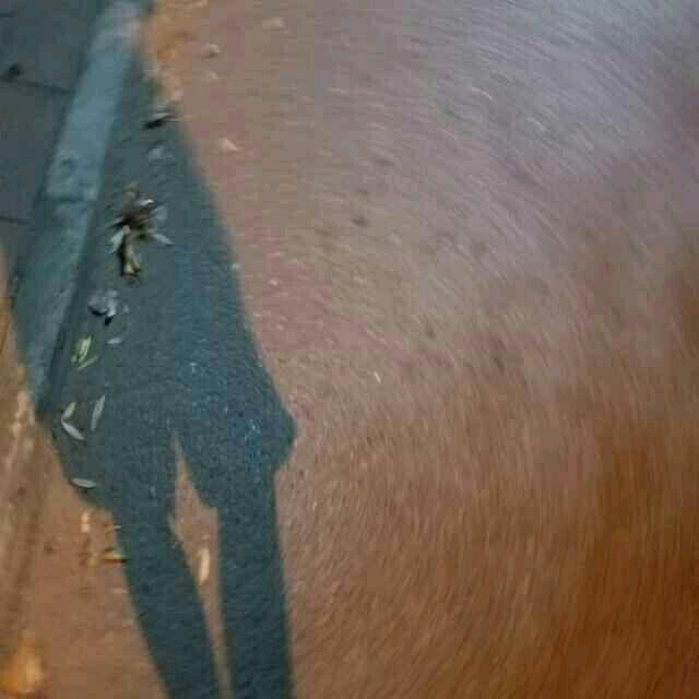以南