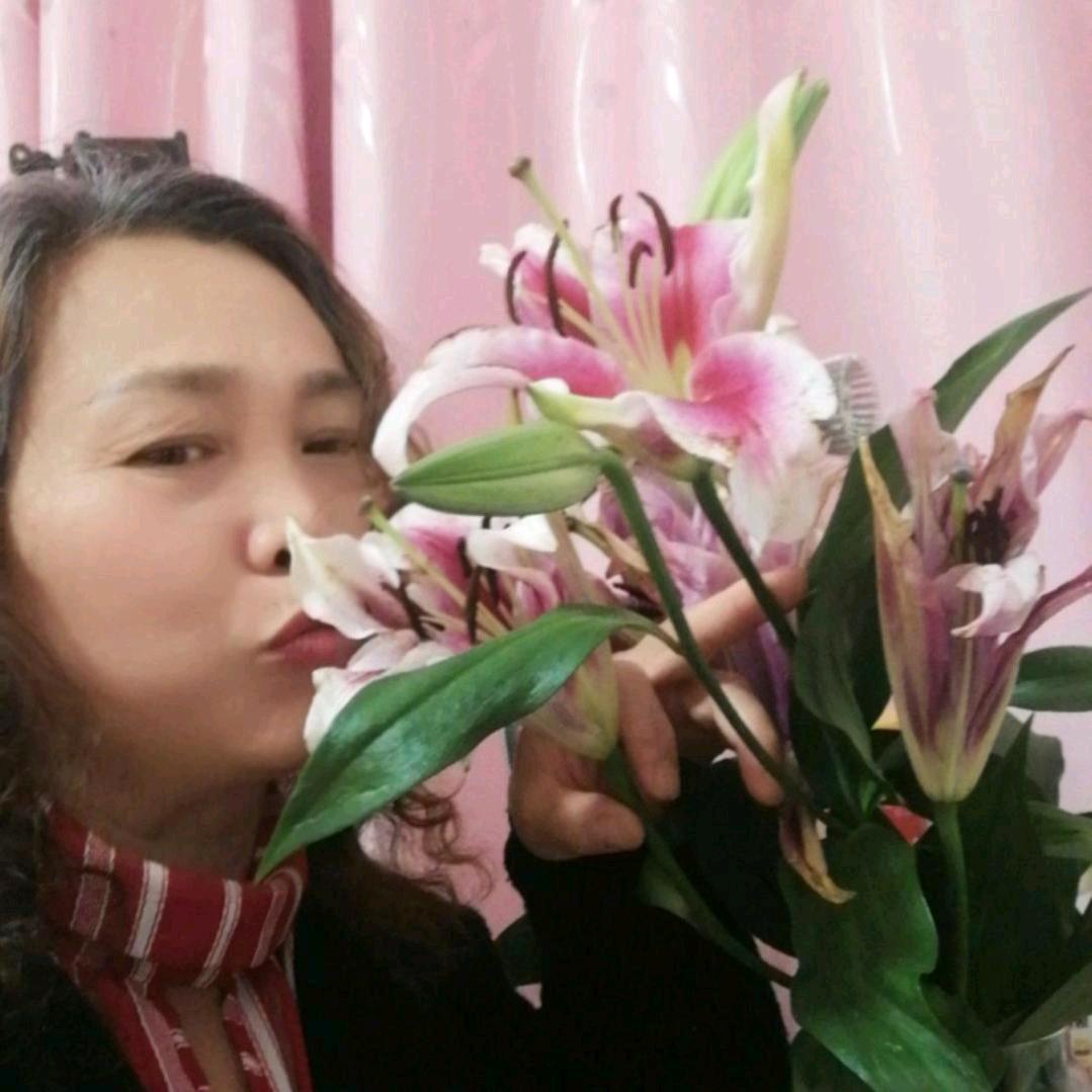 刺玫瑰。