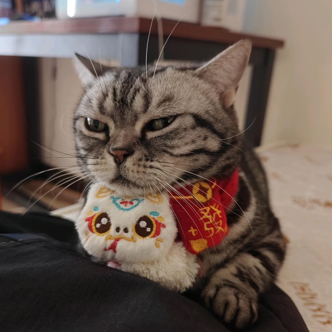 烫张辣麻亮