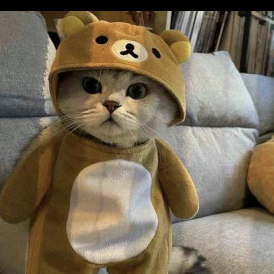 天册日记（护）