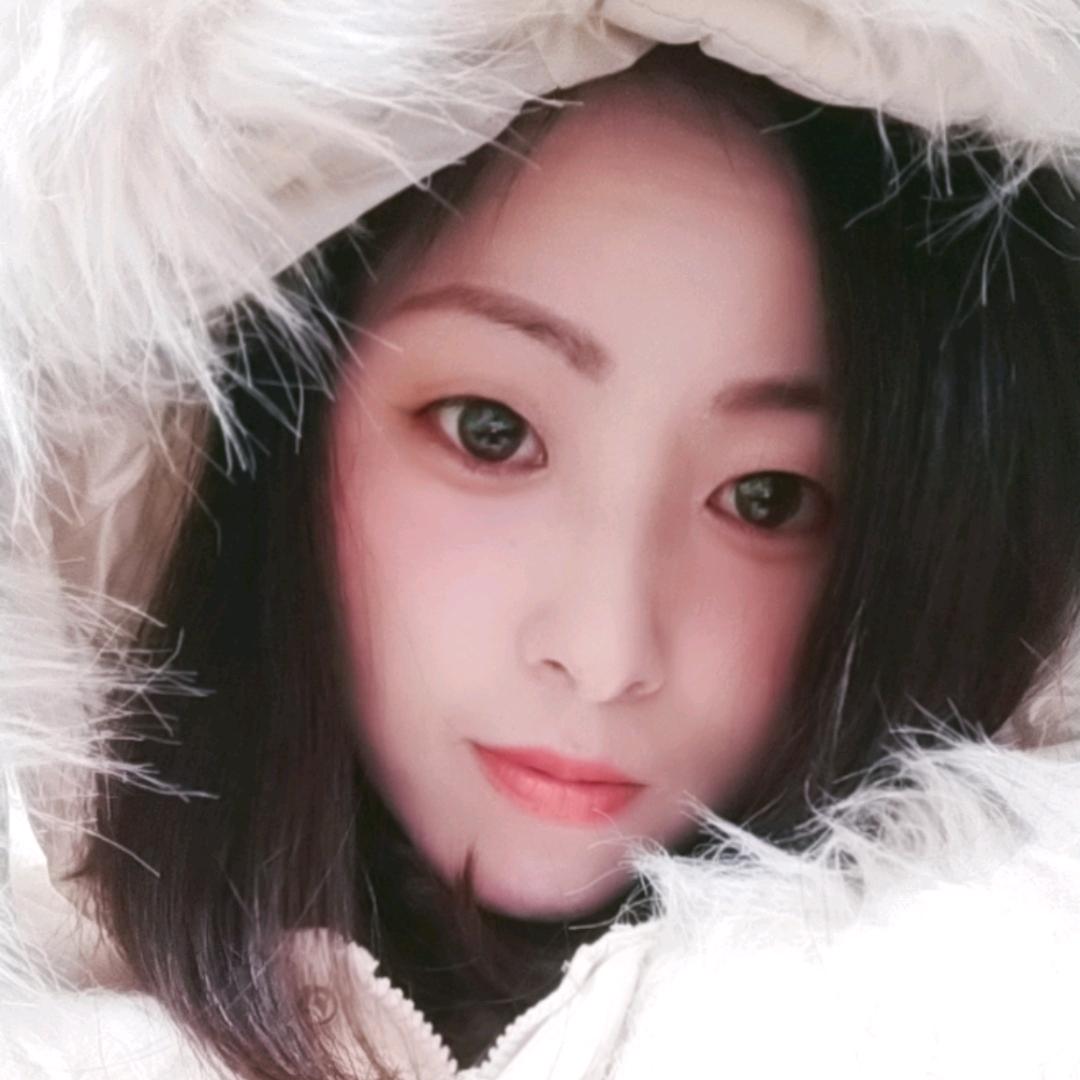 想飞的小象