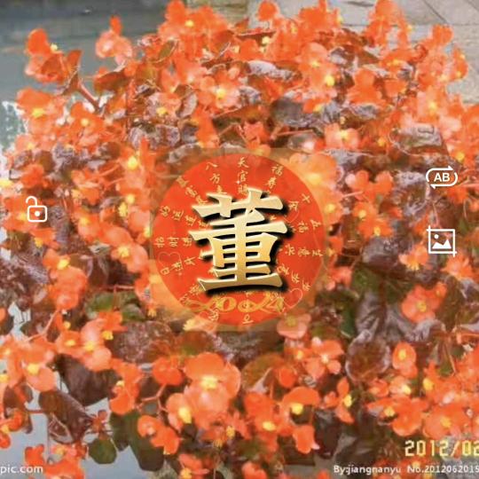 海🌺