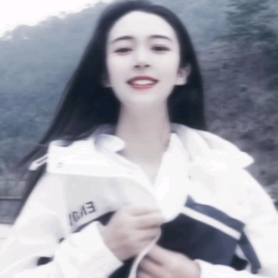 安静的大白