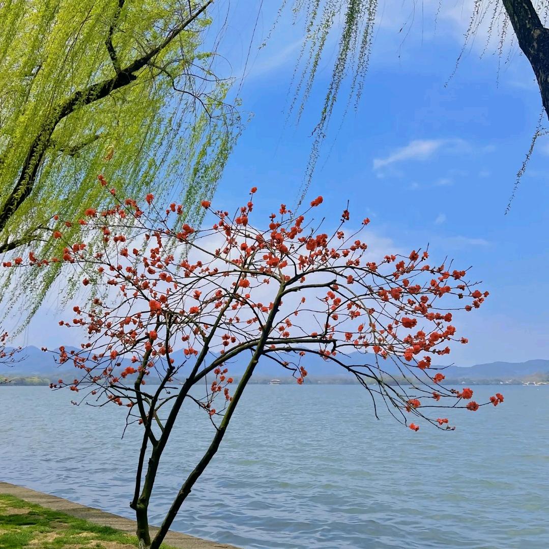 ᴗo·未来可期ᰔᩚ