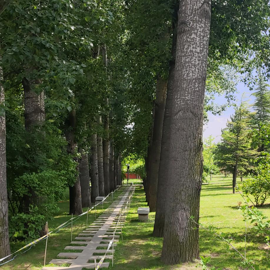 多财多亿福家乐