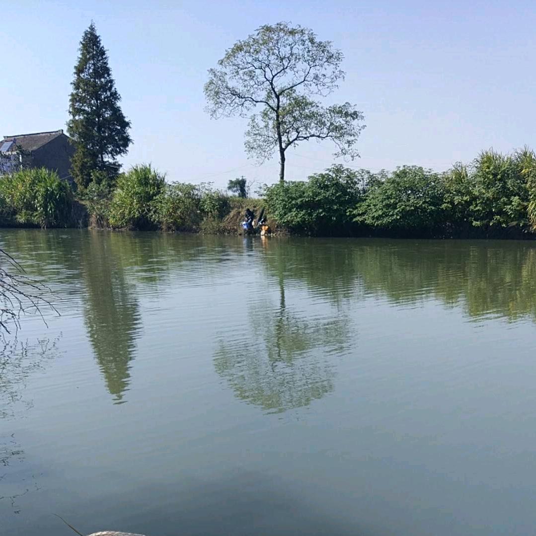 林子