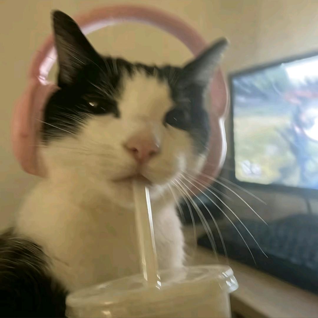 布琳