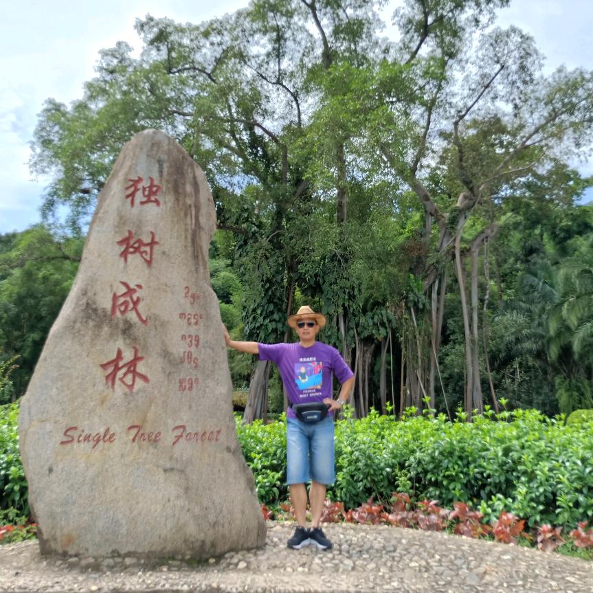 燕然未勒