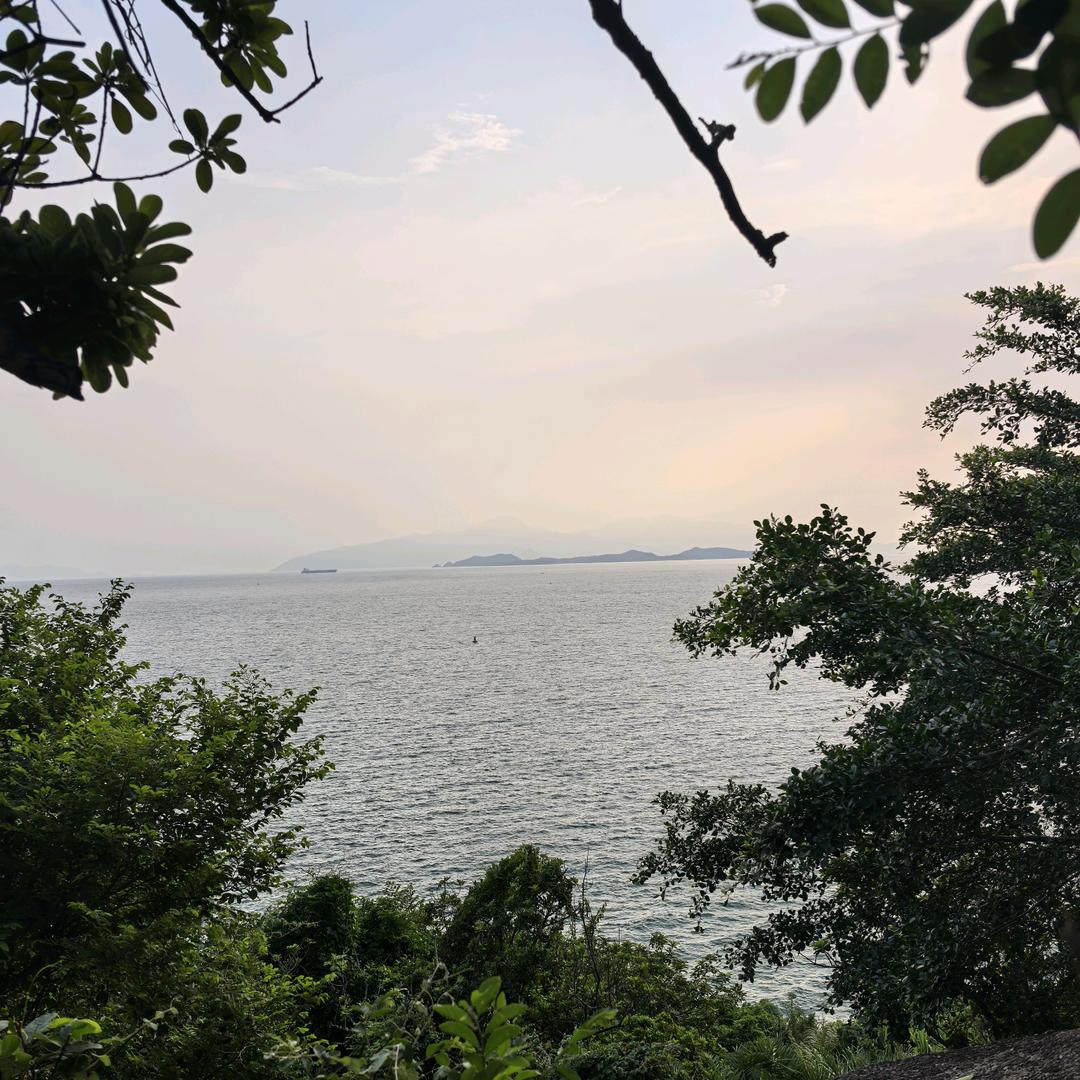 兜有米。
