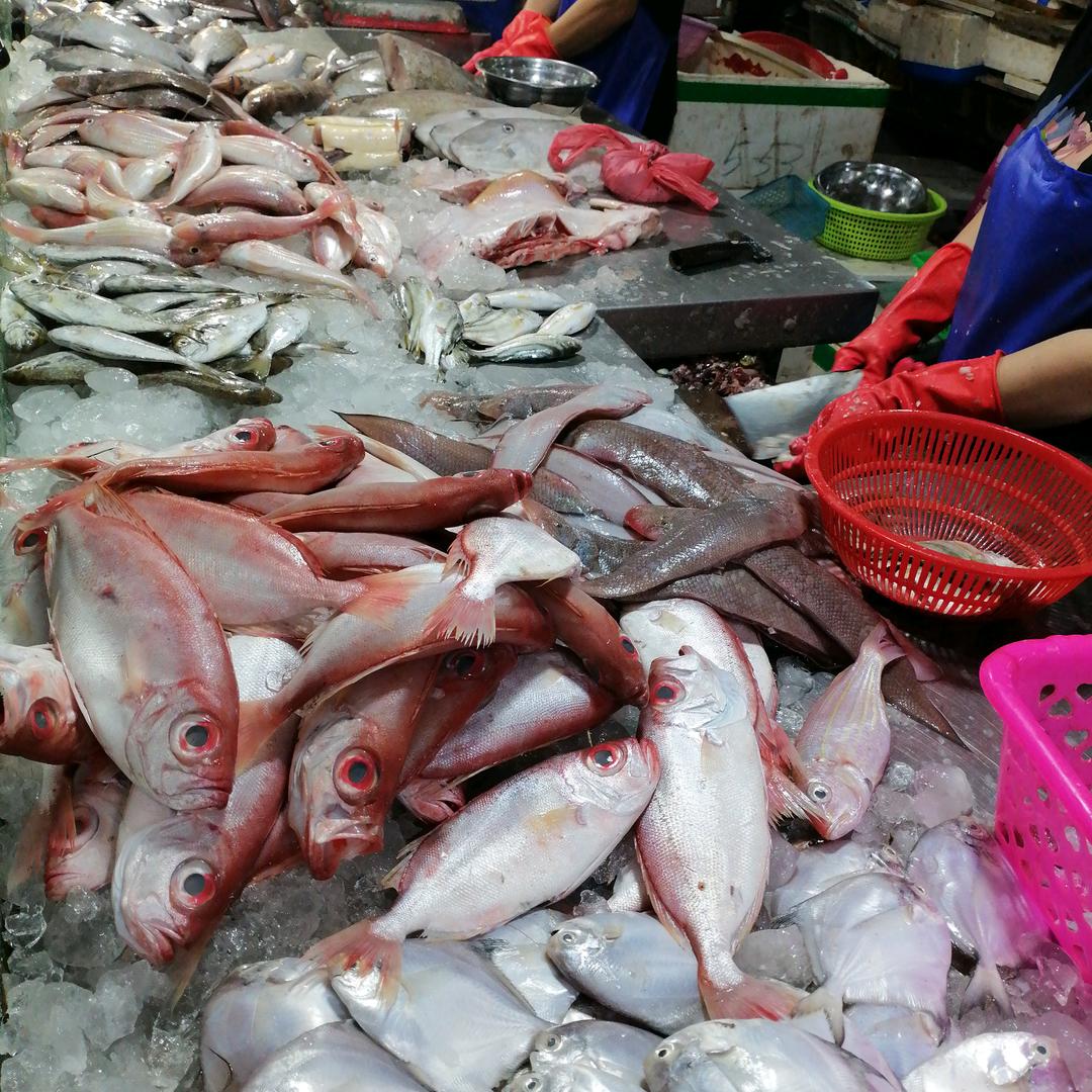 第二市场鱼摊位151号152号
