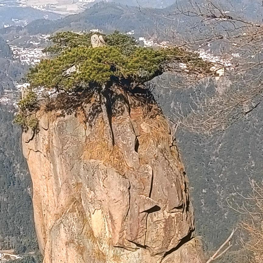 张存喜