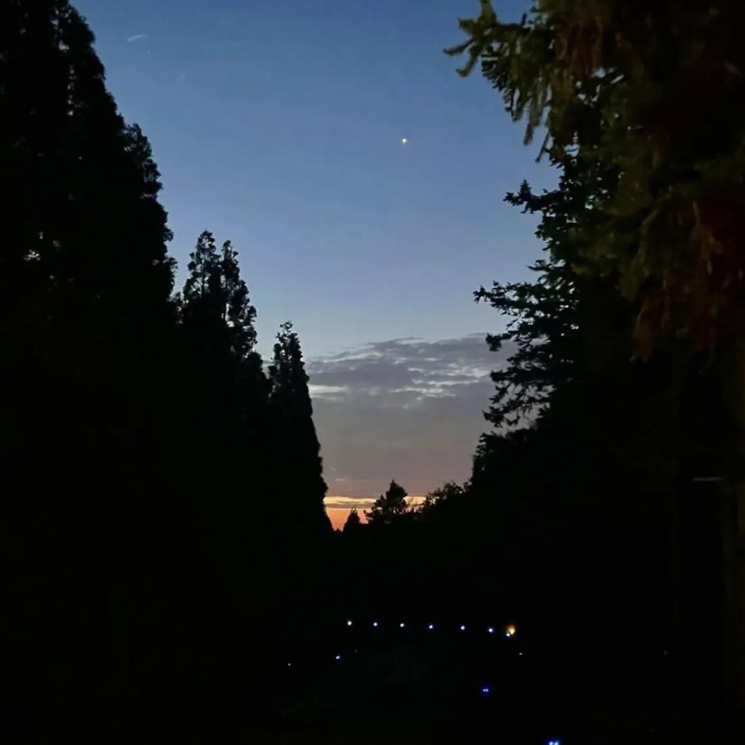 她胜过世间万物