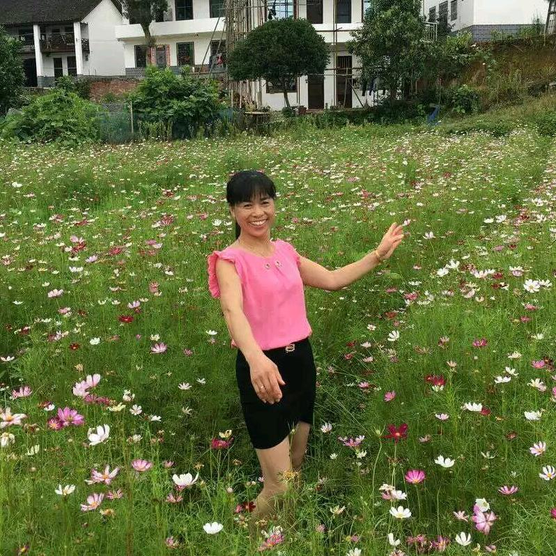 石盖塘桂花飘香