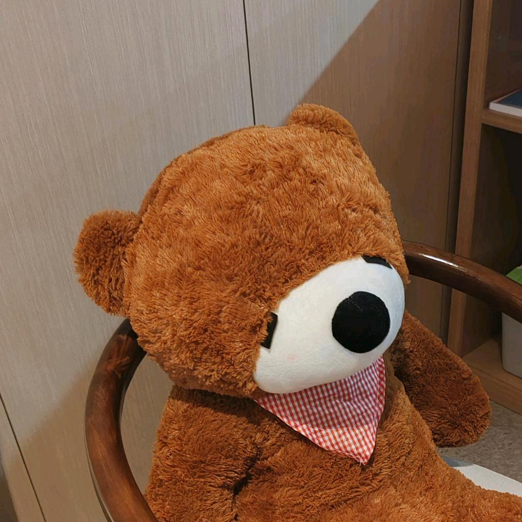 悲催的图书管理员