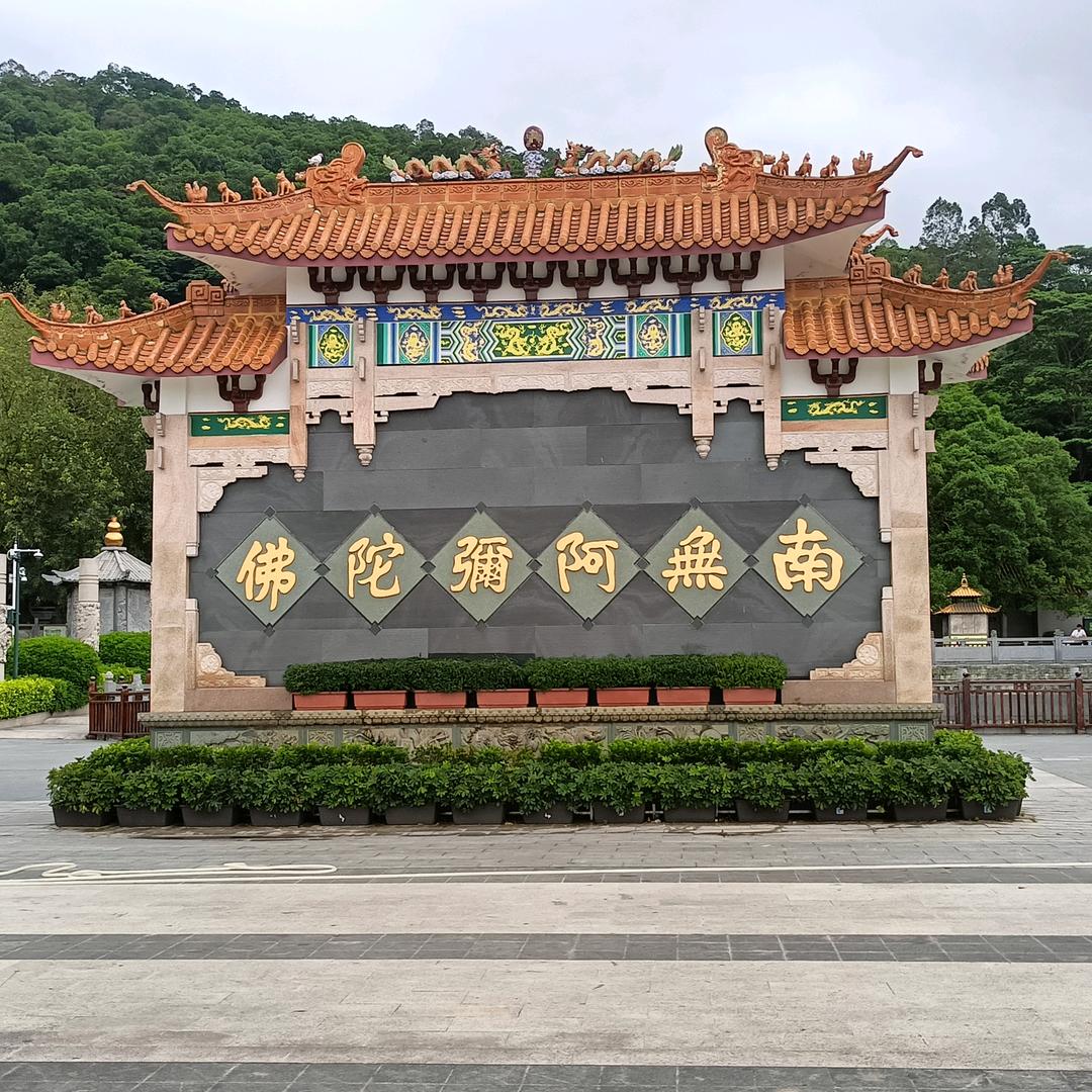 伍歌，单身快乐