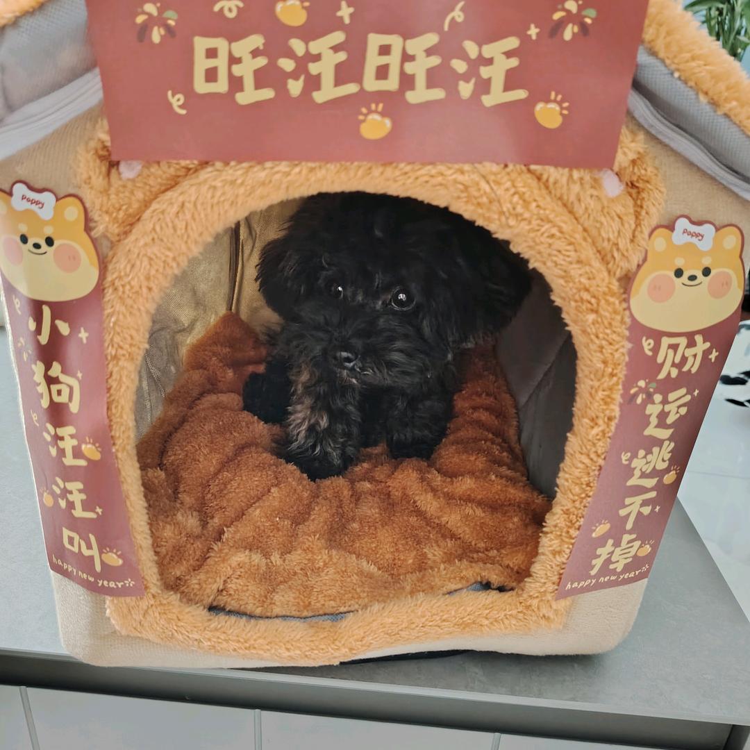 请叫我米多
