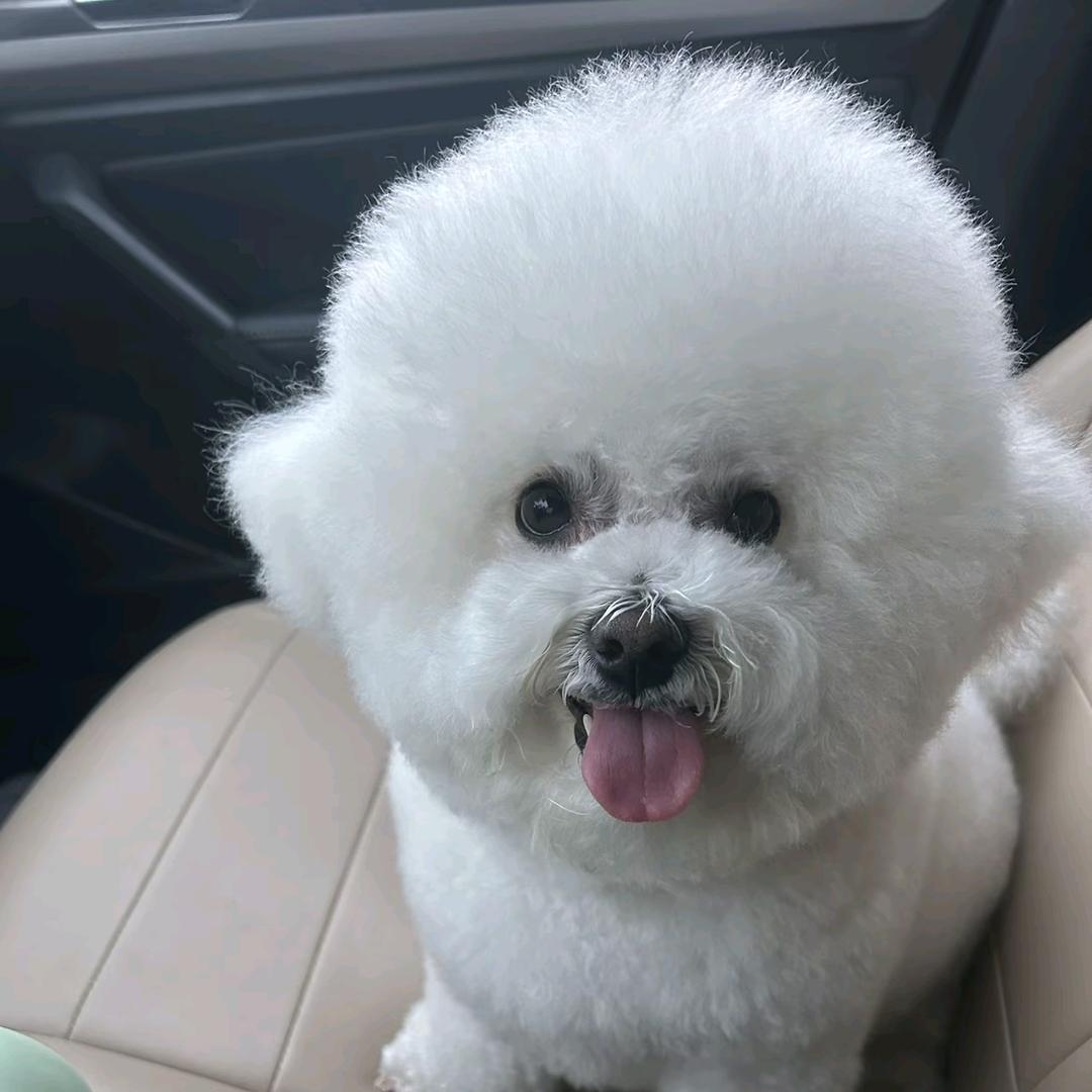 多么幸运的邂逅