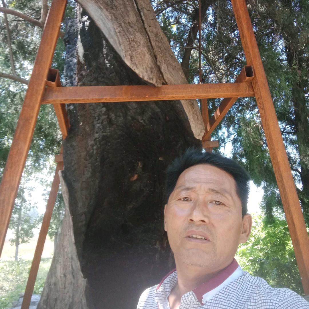 人是漂流的船，家是温暖的岸