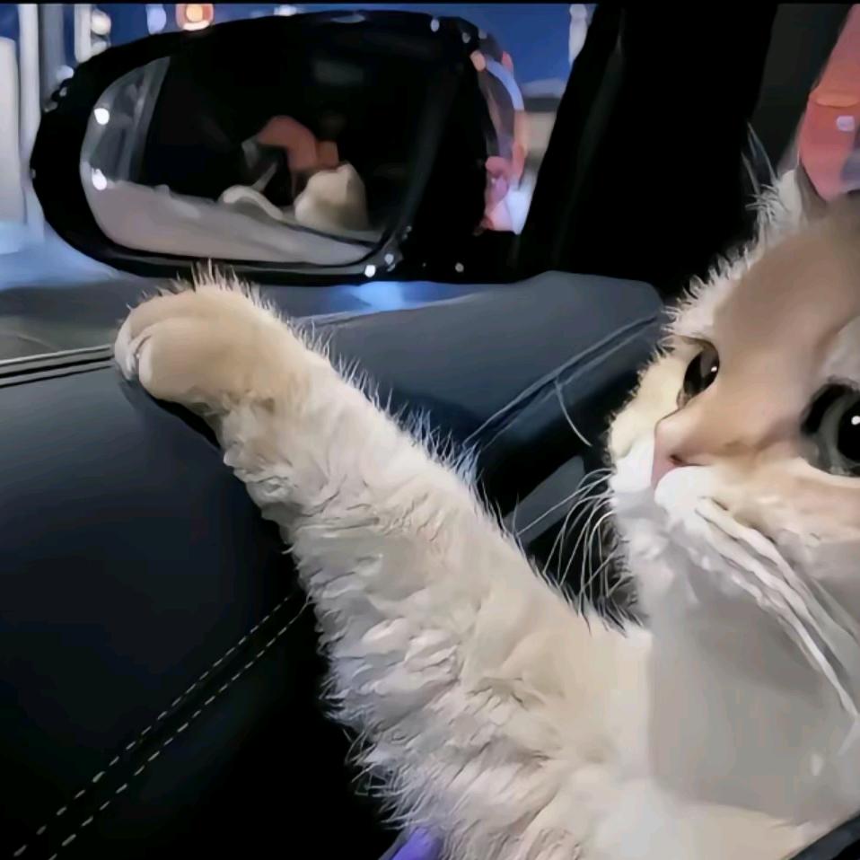 🌷青衫忆笙🌷