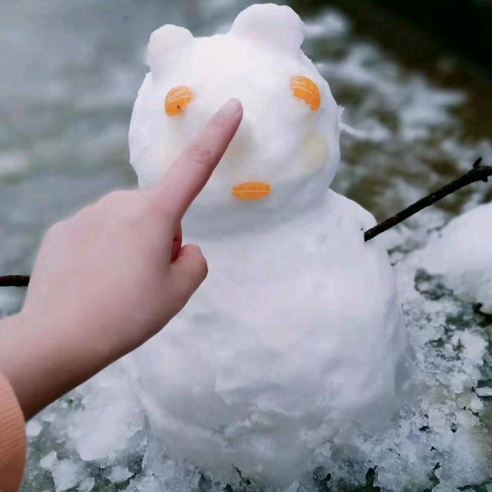 一颗李子树