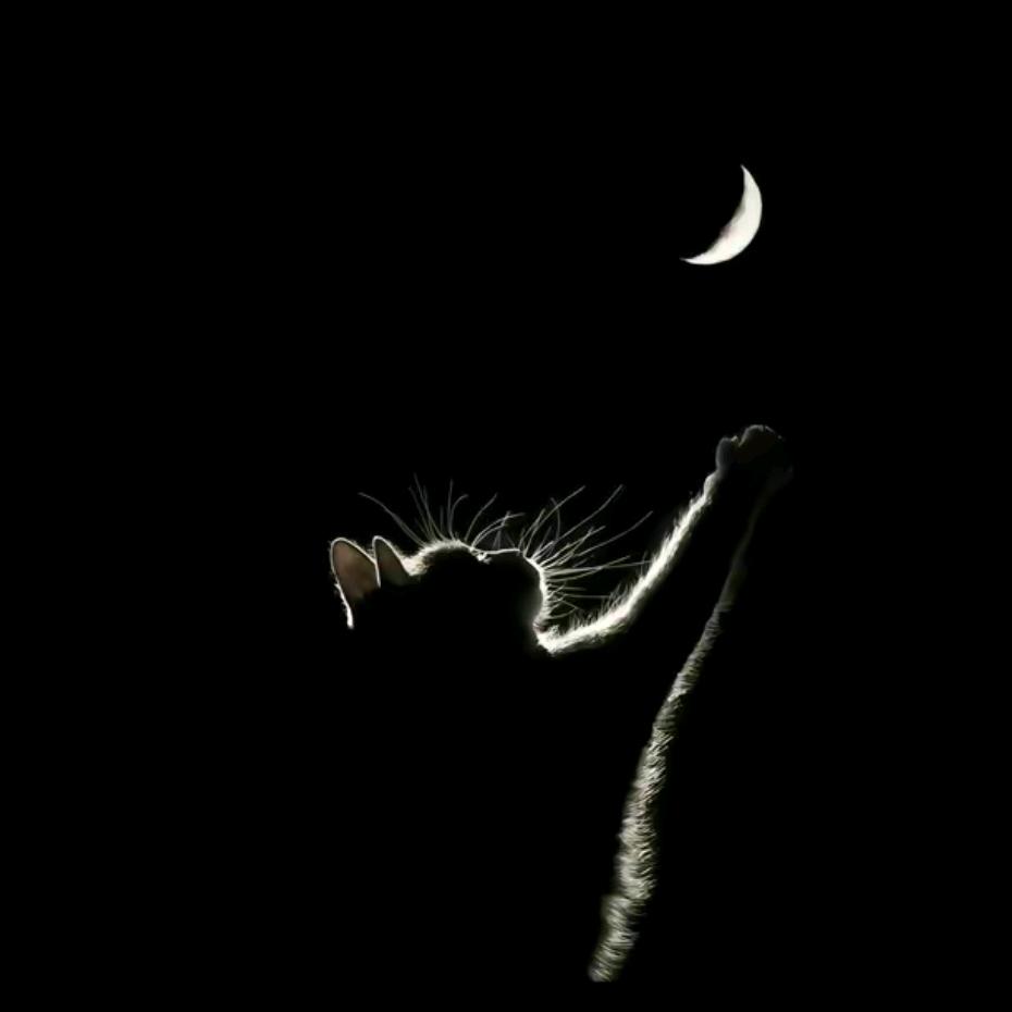 再见只是陌生人