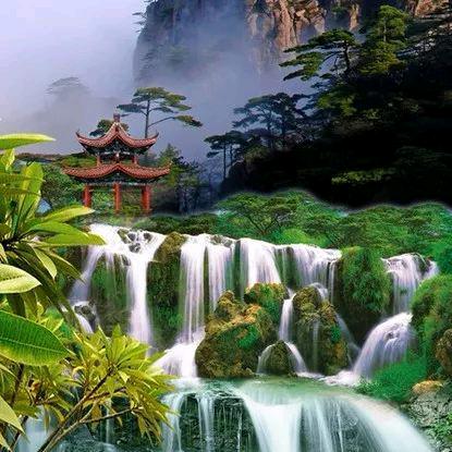 天涯游客