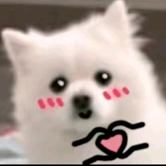 梦求真（暗区突围）