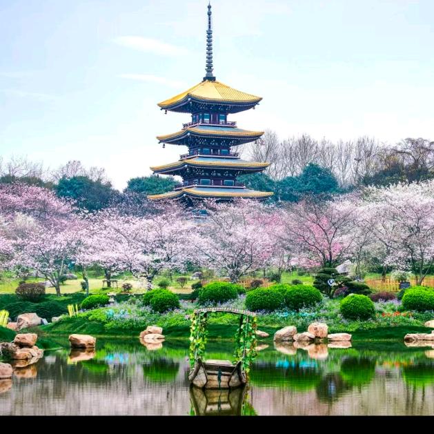 余生为自己而活